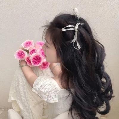 乡村爱情12 海报